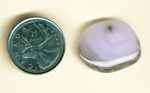 Purple, pink and gray concentric lines in a freeform cabochon of Parcelas Agate from Mexico.