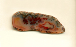 A freeform Coyamito Agate from Mexico, with red dendrites and at least two red fortification patterns, all under a layer of green moss.