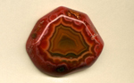 A freeform polished Coyamito Agate, with a strong overall red color, pink frond inclusions around the outside, and a yellow and green central fortification pattern.
