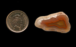 A triangular polished freeform Fortification Agate from Mexico, with and orange fortification pattern in the interior, and a white skin on the outside.