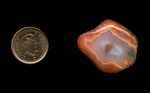 A freeform cabochon of Fortification Agate from Mexico, with a baby blue center , bordered by a brighter orange, changing to a stronger orange toward the outside.
