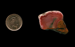 A freeform polished Fortification Agate from Mexico, with a purplish red fortification agate built around a line of green.