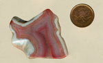Freeform polished Coyamito Agate from Mexico, with a purple, pink and red interior and a white outline.