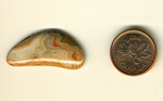 A freeform cabochon of Fairburn Agate, bow shaped, with yellow, red and parchment colored spreading patterns.