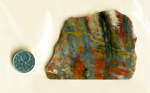 Slab of red and yellow Petrified Wood from Arizona, with colorful flashes running through a gray wood pattern.