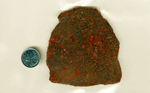 A slab of Gem Dinosaur Bone from utah, with red agate with fortifications in the cells, the barriers between which are yellow. 