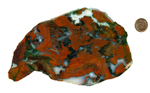 A slab of red, green and blue Christmas Flame Agate from Mexico, patterned all over with wide brush-strokes of strong color.