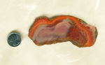 Slab of Apache Agate from Mexico, with a bright orange band bleeding into a purple-red fortification pattern.
