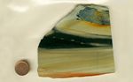 A slab of Zebra Agate from India, with black bars on a creamy background, and streaks of bright orange beside them.