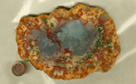 A slab of Cisco Agate from Mexico, with a blue center surrounded by orange and yellow, streaked with blood red.