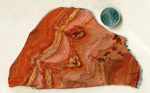 Red and orange flowing patterns in a slab of Apache Sage Rhyolite from Deming, New Mexico.